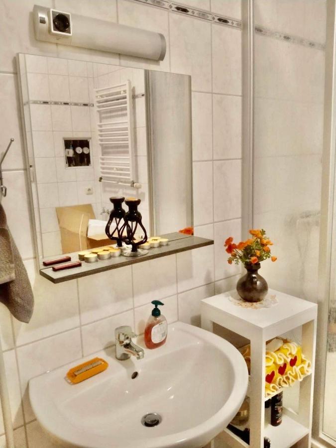 Ferienzimmer Healing Und Montuerwohnung Weißenfels 외부 사진