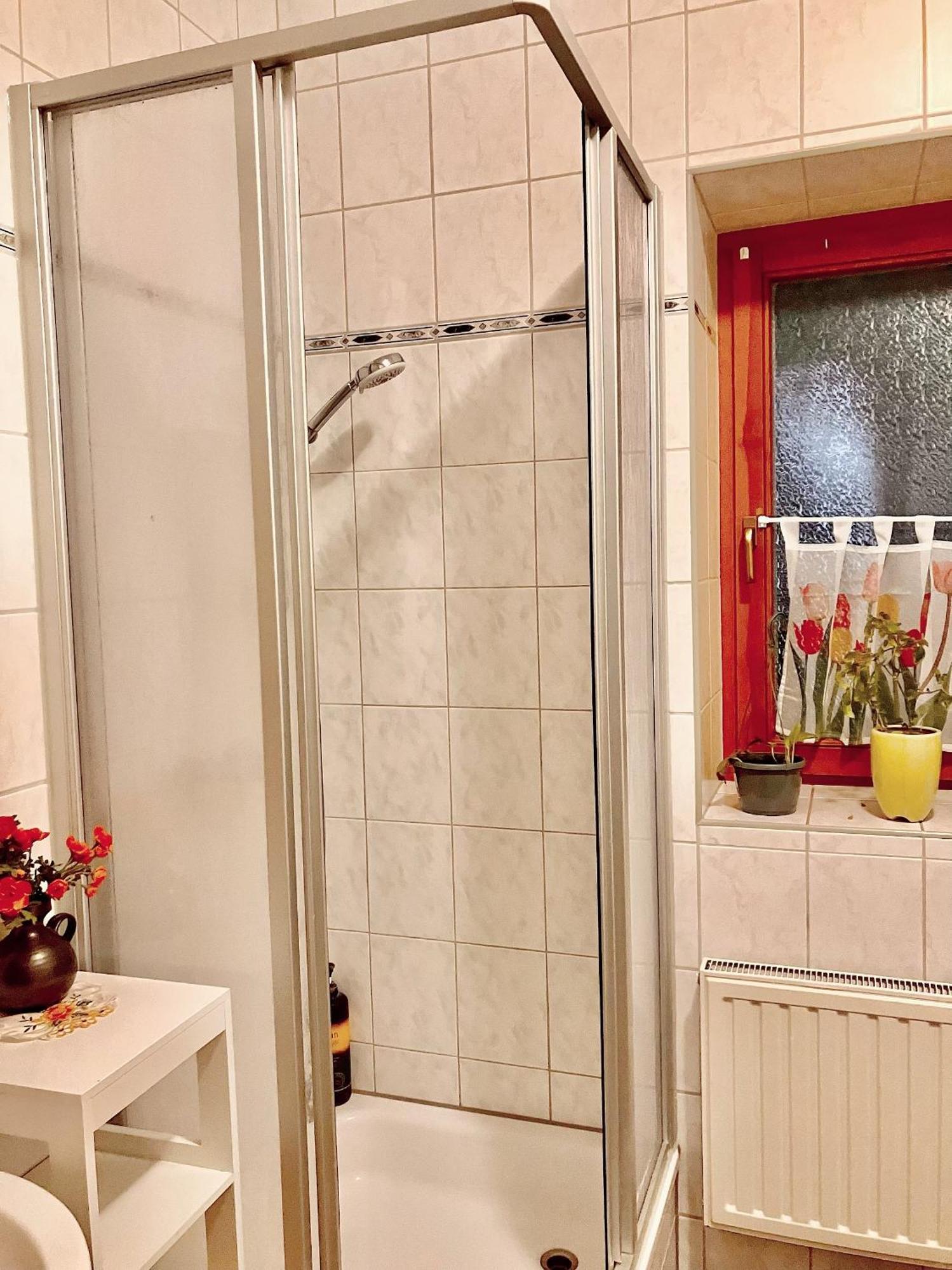 Ferienzimmer Healing Und Montuerwohnung Weißenfels 외부 사진