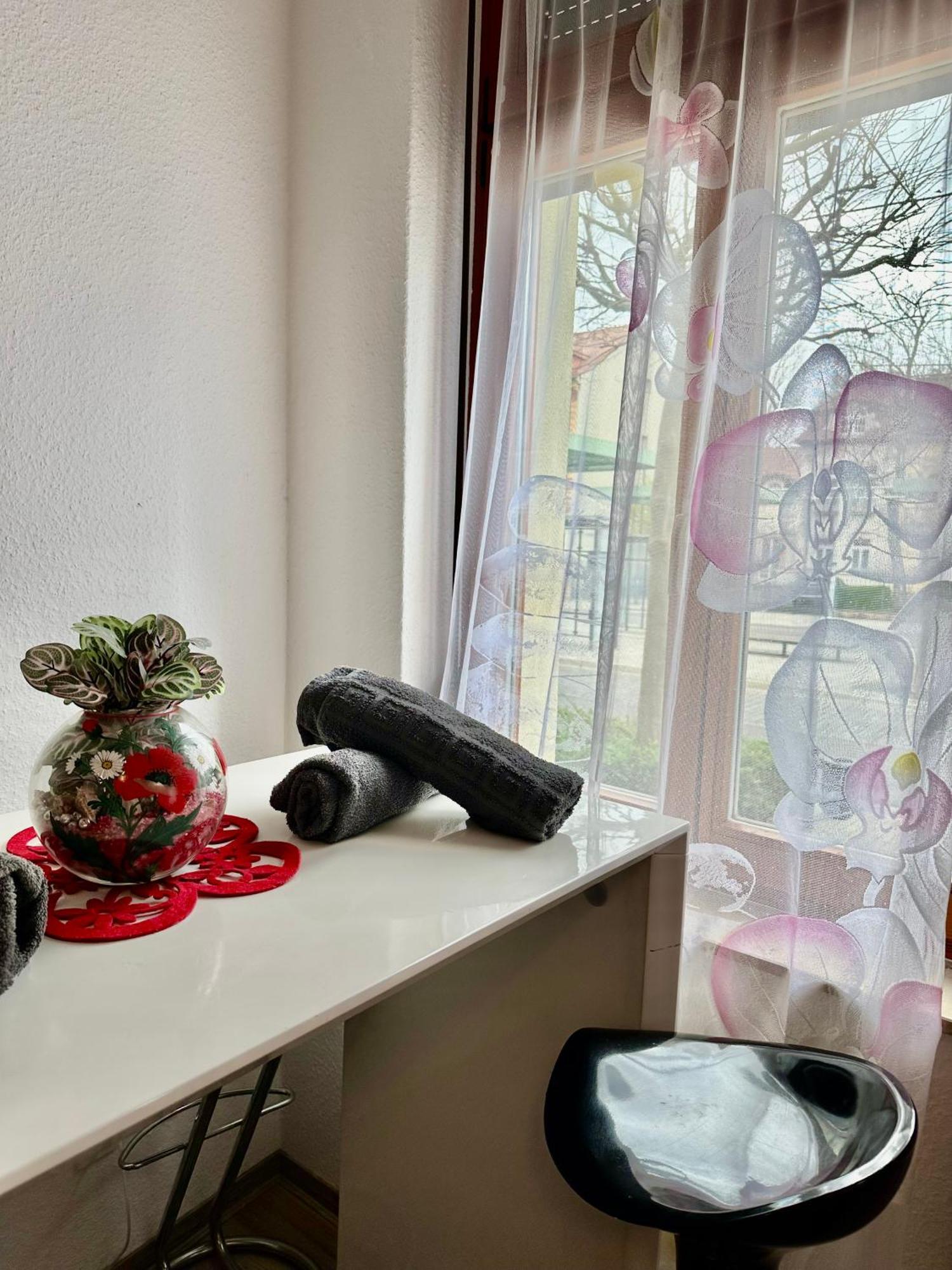Ferienzimmer Healing Und Montuerwohnung Weißenfels 외부 사진