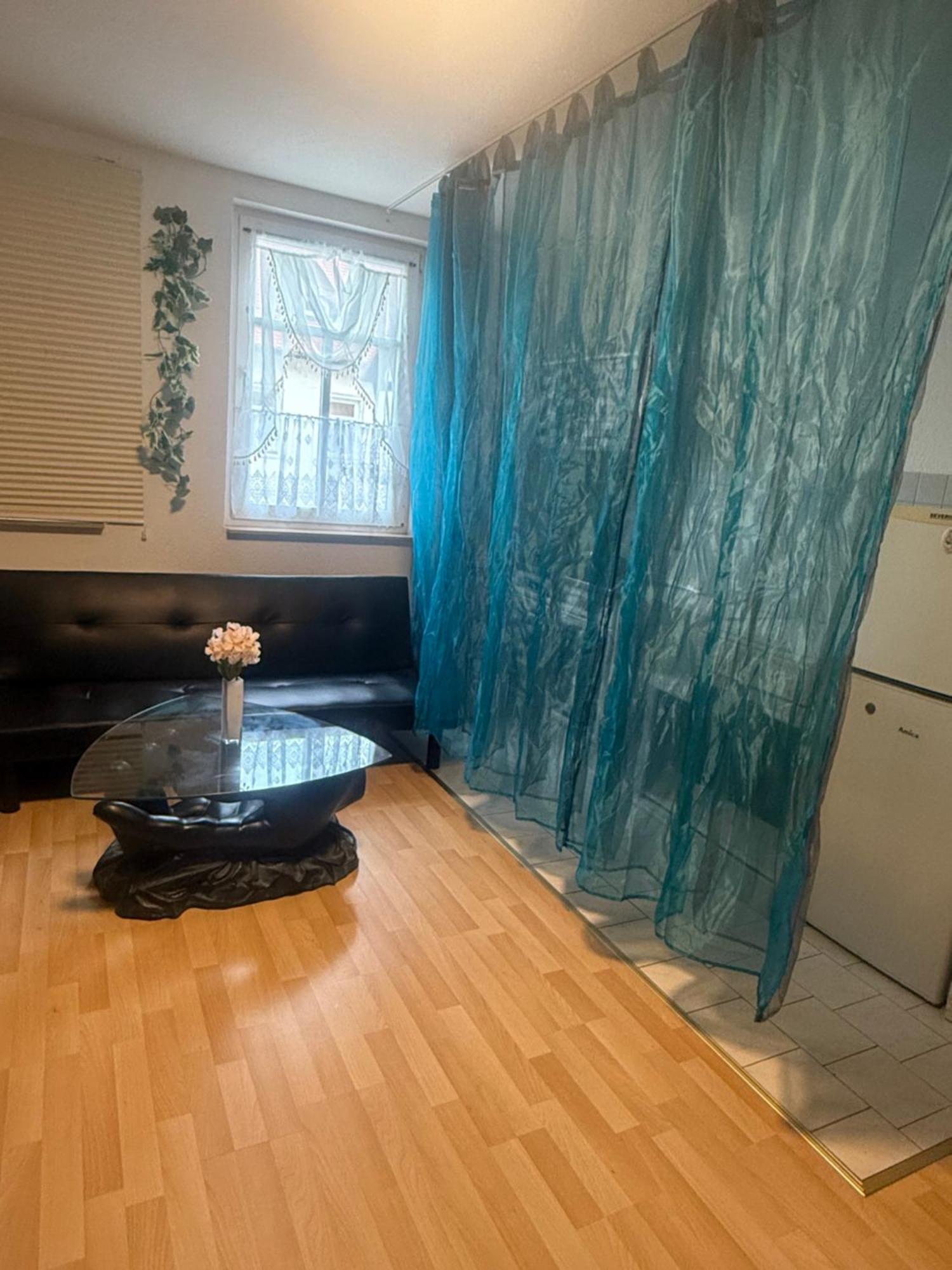 Ferienzimmer Healing Und Montuerwohnung Weißenfels 외부 사진