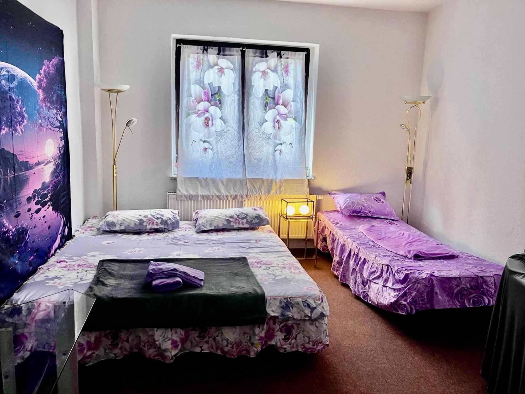 Ferienzimmer Healing Und Montuerwohnung Weißenfels 외부 사진