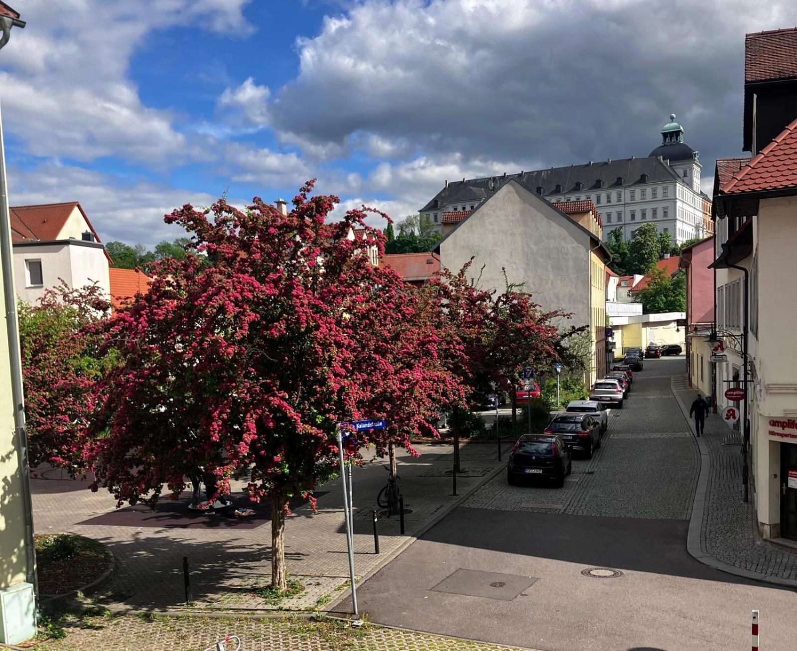 Ferienzimmer Healing Und Montuerwohnung Weißenfels 외부 사진